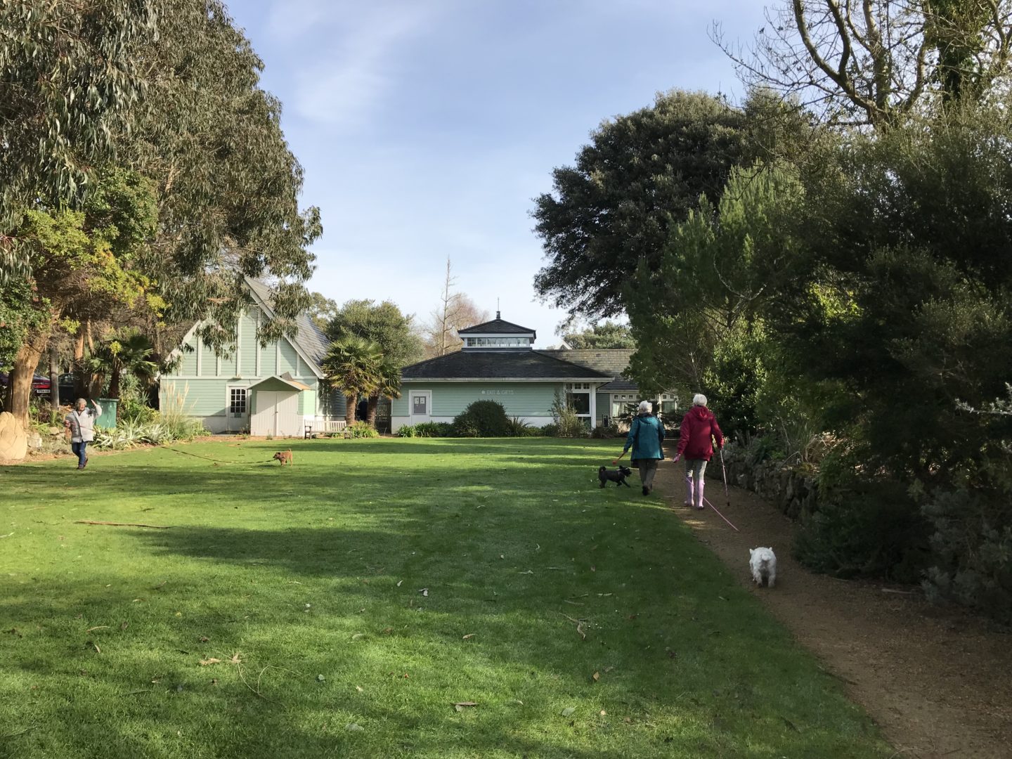 Dog walking