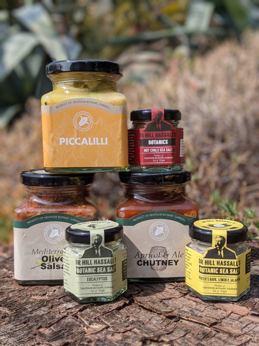 Trio of Square Jars* - Ventnor Botanic Garden