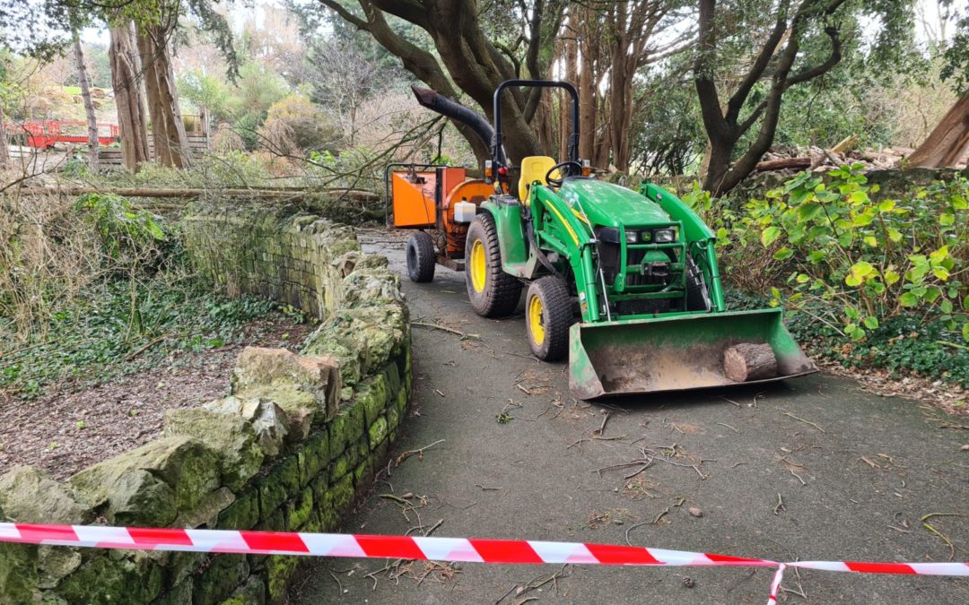 Storm Eunice Hits Ventnor Botanic Garden