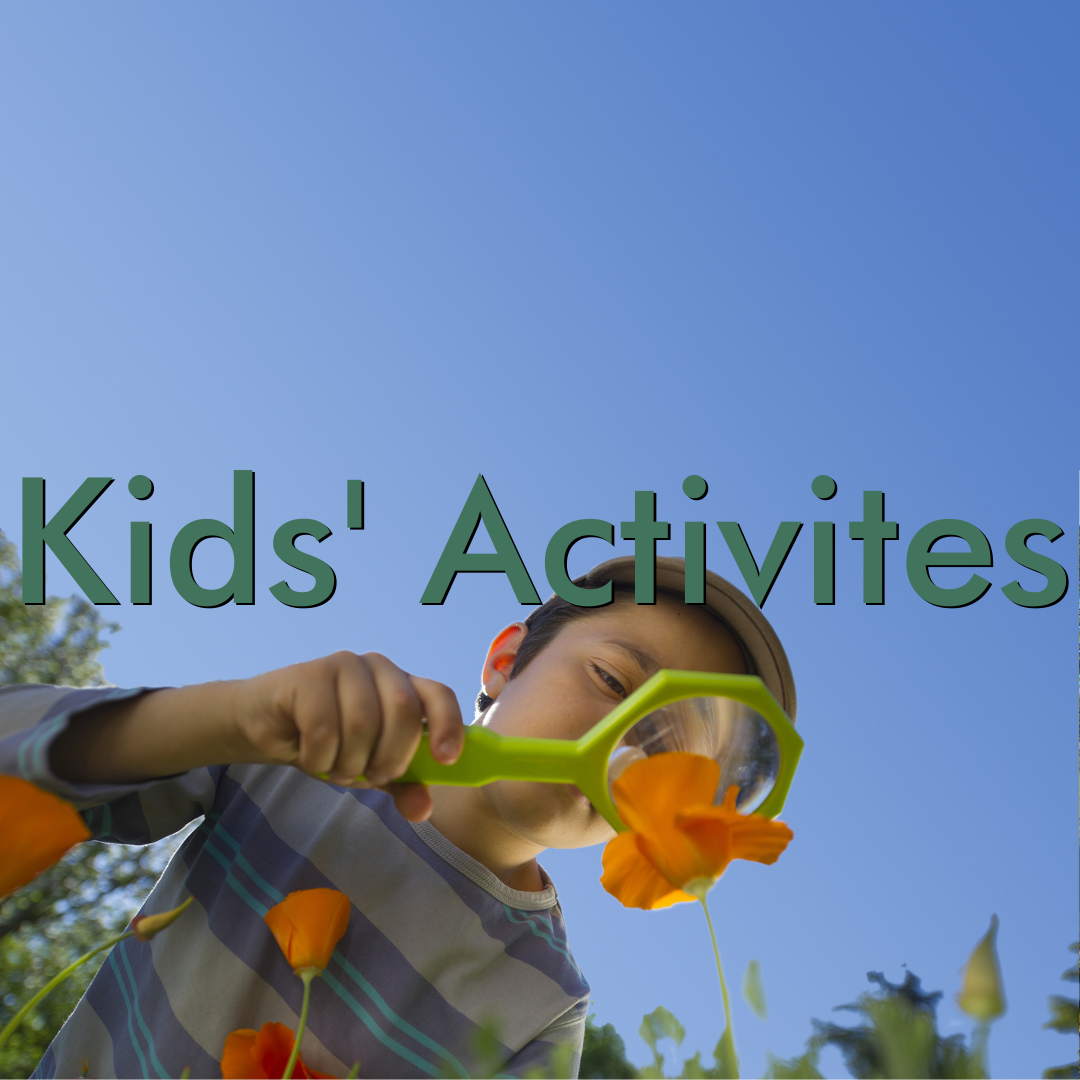 Kids' Activites