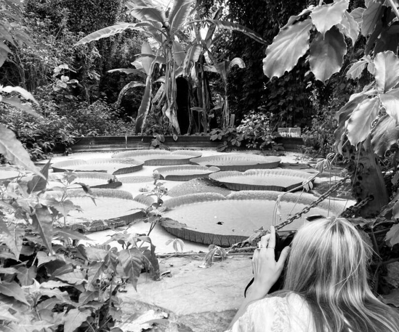 Rhea photographing giant lilly pads at Ventnor Botanic Garden's Tropical house.