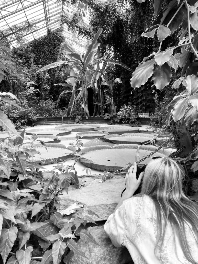 Rhea photographing giant lilly pads at Ventnor Botanic Garden's Tropical house.