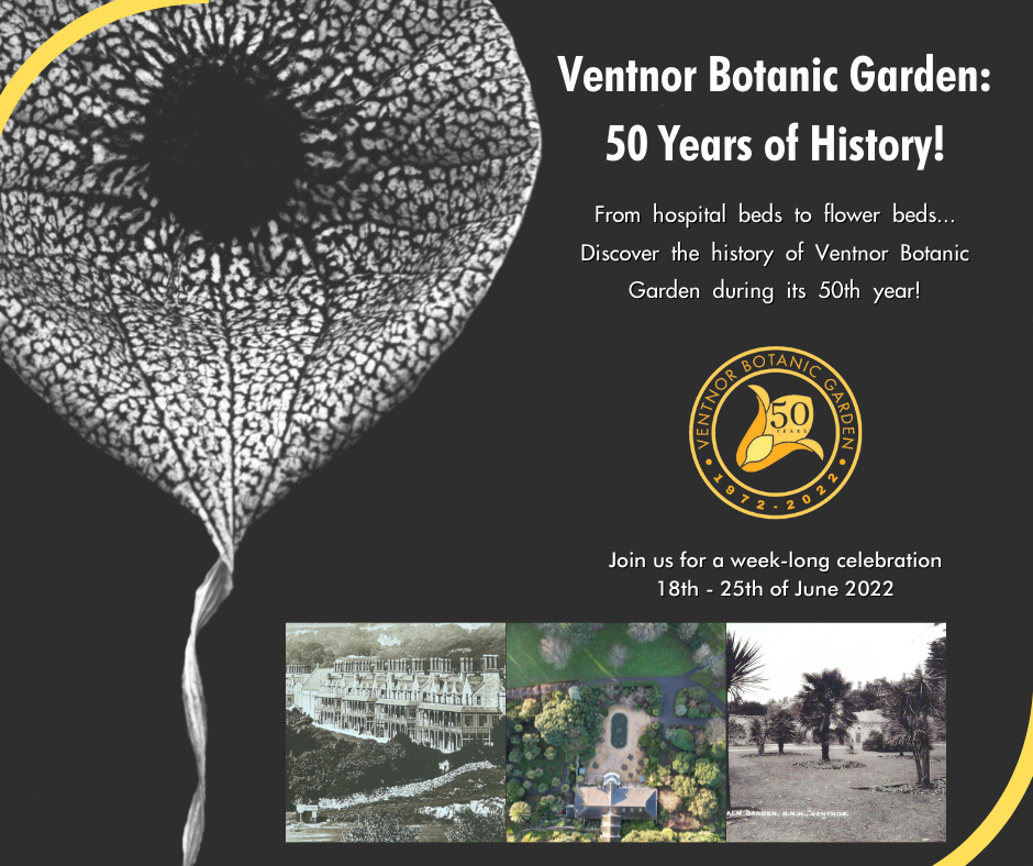 A dark contrasting image of a lilly against a black background with text informing viewers of the 50th anniversary event. Also displayed is 3 small images of the old hospital and the gardens in the early days.