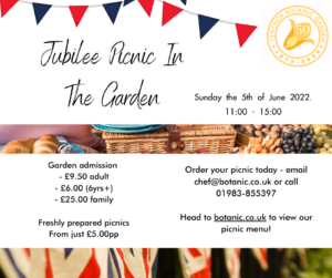 Our Jubilee picnic event poster with bunting and images of picnics along with the event text.