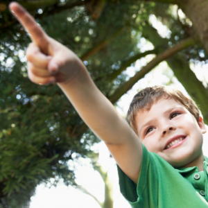 Playground update - Image shows a young boy wearing a green t-shirt and pointing into the distance while smiling.