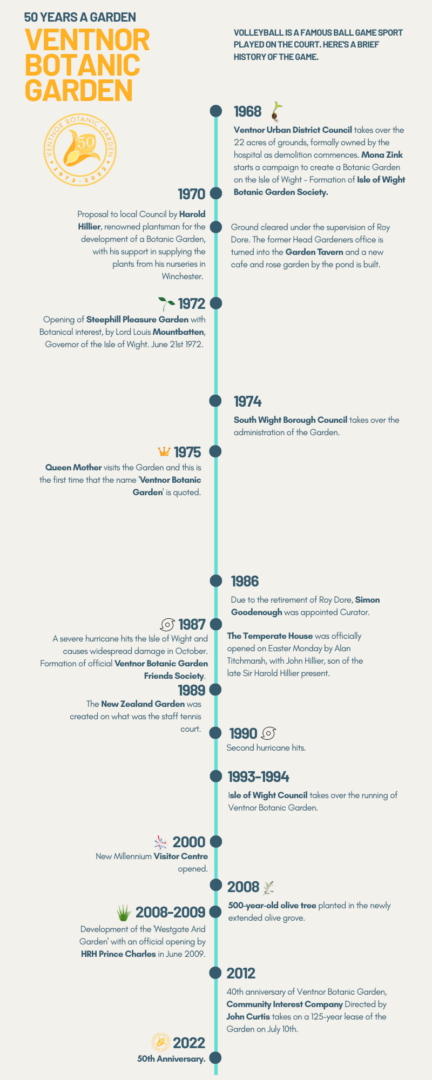 50th Anniversary timeline