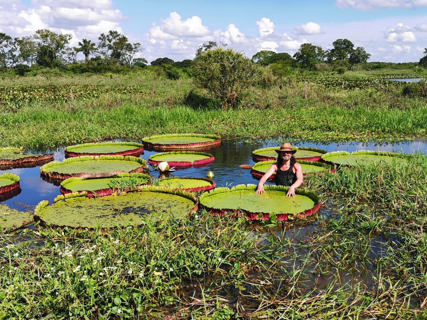 Carlos Magdalena in Bolivia with V.boliviana in the wild. Credit Cesar David Salazar. (2)-min Carlos Magdalena in Bolivia with Victoria boliviana in the wild © Cesar David Salazar