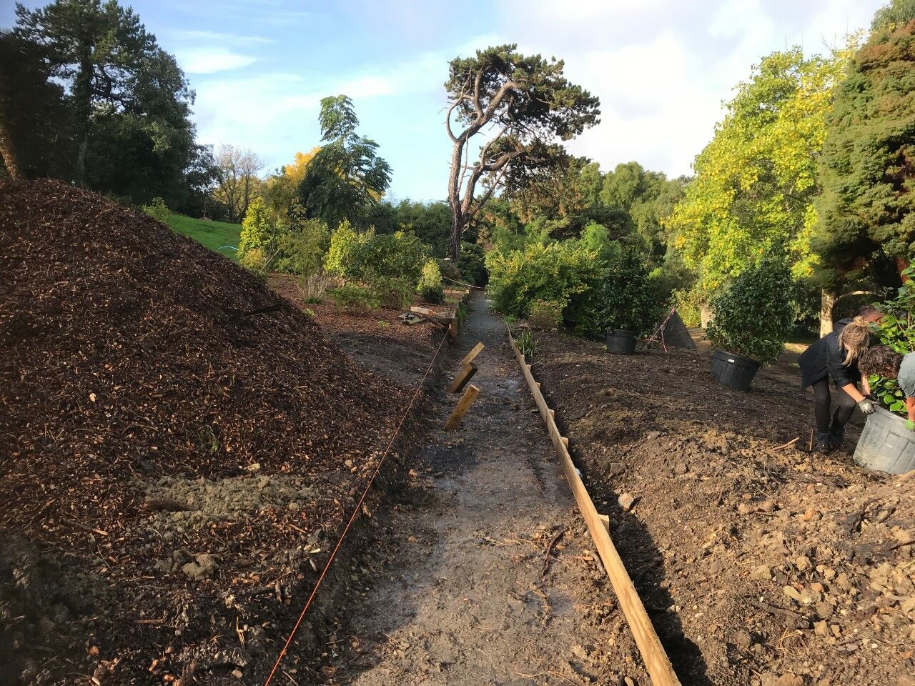 Progress in the far east garden