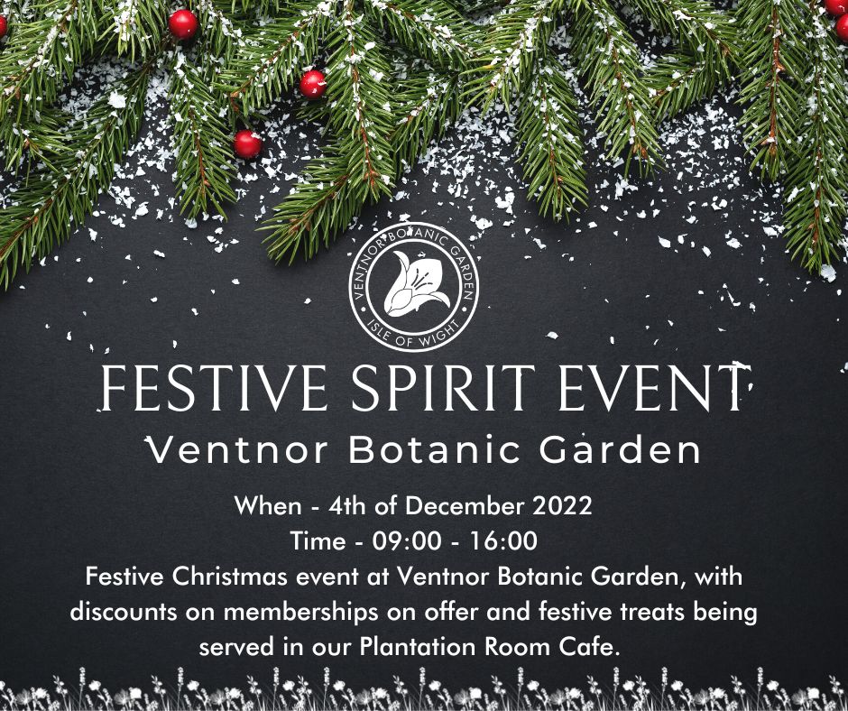 A poster for our Festive Spirit Event at Ventnor Botanic Garden