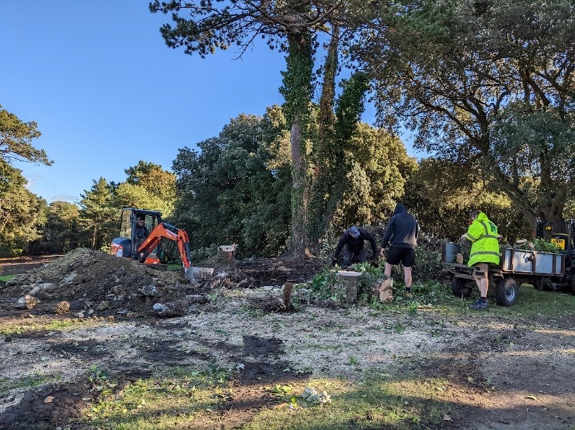 An image showing tree felling in progress as a part of the Further East project.