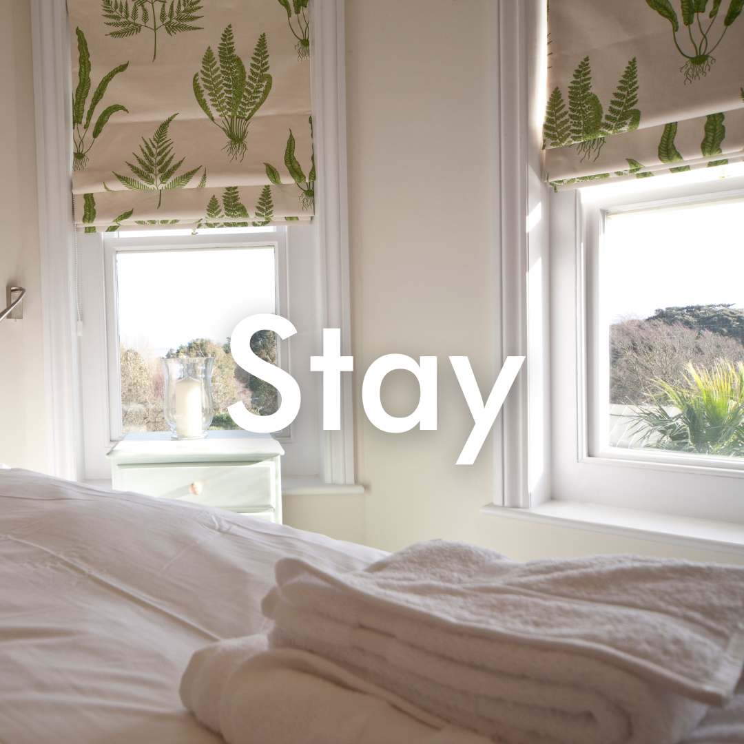 Stay