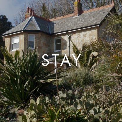 Stay