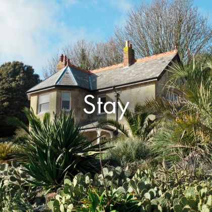 Stay